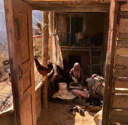  تو بوی بارانی عازم کوی آبادی ای داد هر بیداد وارث روح آزادی
